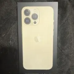 m*k様 Apple iPhone 13 Pro ゴールド 本体