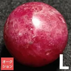 【オークション出品】お手頃！インペリアルロードナイト13-13.5ミリL(SA)