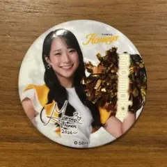 若鷹ガチャ ハニーズ 秋花 アクリルスタンド 缶バッジ アクキー セット 福岡ソフトバンクホークス ハニーズ 秋花 缶バッジ 若鷹ガチャ 2026