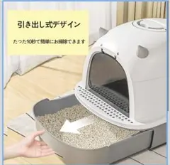 Item thumbnail for item 3db4e4be-9021-4610-81e2-d2d74451a5c6