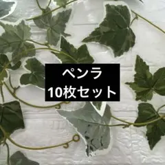 ペンラ10枚セット