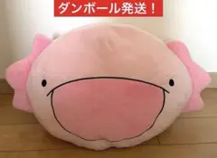 2026年最新】からめる ウーパールーパー ロングクッションの人気
