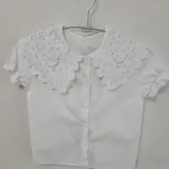 レース付き襟 ホワイト 半袖ブラウス