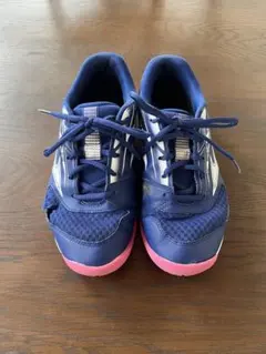 Item thumbnail for item 855d5981-dc96-413f-b564-661bb5033799