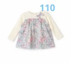 Item thumbnail for item cfc86adc-210b-4928-88c5-373487e71fd4