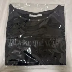 &TEAM ラグランTシャツ M BLAZE THE WAY ツアーグッズ - メルカリ