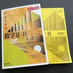 数学 II + B 解法と演習　解答付き