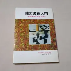 書道本　独習書道入門　山下景雲　書　昭和52年発行