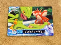 ジュカイン & ヘイガニ ペアカード ポケモン　カードダス