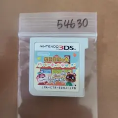 どうぶつの森 ハッピーホームデザイナー 3DS ソフト