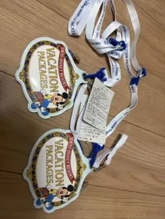 東京ディズニーリゾート バケーションパッケージストラップ 2個セット