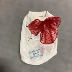 Item thumbnail for item 42466b35-c245-45b6-b68b-70ecb5cf5ce5