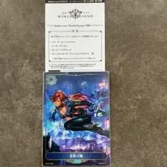 2025年最新】エボルヴ シリアルの人気アイテム - メルカリ