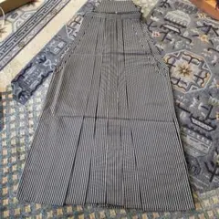 Item thumbnail for item 0e313053-eb46-4397-8e26-30b4a28c2c01