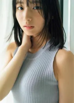 小嶋陽菜 2L写真 35枚セット ファイルに入れて - メルカリ