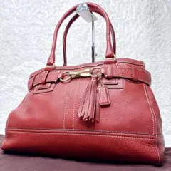 COACH コーチ ハンプトンズ ハンドバッグ レザー 赤 シグネチャー 希少 