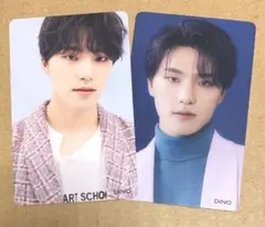 SEVENTEEN ひとりじゃない トレカ HMV ディノ