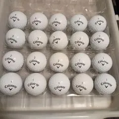 ロストボール WARBIRD 最新 20球