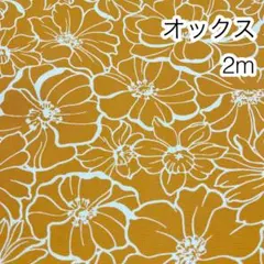 ラスト3点 2m シンプルフラワー オレンジ オックス