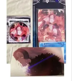 Fate FGO展 星見の回廊 入場特典 A5サイズカード ジャンヌ オルタ