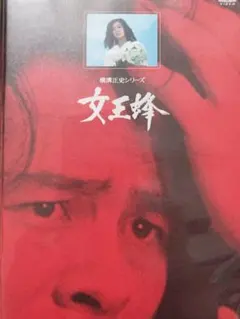 女王蜂 横溝正史 岩川ひろみ - メルカリ