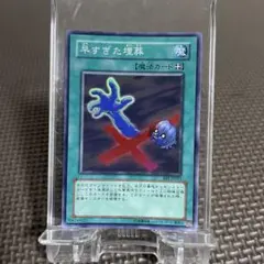 Item thumbnail for item 41ed6561-6737-4356-b1fd-9f0a39a571b6