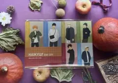 ハイキュー!! DAY OFF ポストカードセット