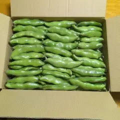 優香様専用　新鮮 そら豆 　80サイズ箱