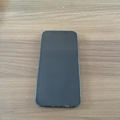 Apple iPhone 12 本体