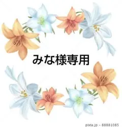 みな様専用