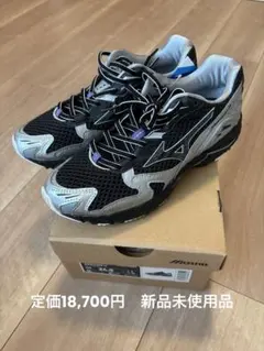 10/18(土)正午まで☆Mizuno Wave Rider 10／24.0cm