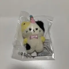 zeroni リッキー　home party リニニ　ZEROBASEONE