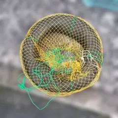 Item thumbnail for item 3a7242ab-0736-47a5-8cdf-182bb7212c7c