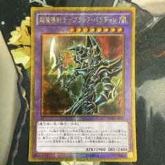 ブラックパラディン