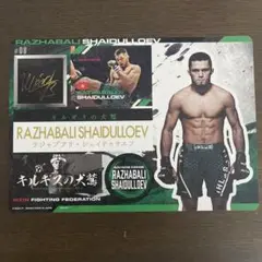 RAZHABALI SHAIDULLOEV シェイドライフ