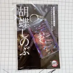 【鬼滅の刃】　無限城編 第一章 スライドアクリルキーホルダー　胡蝶しのぶ