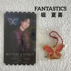 堀夏喜 クリアピクチャーチケット& チャーム