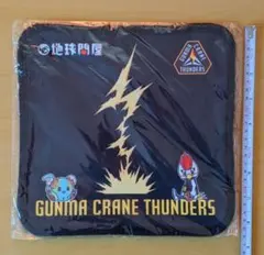 GUNMA CRANE THUNDERS マット 約30cm