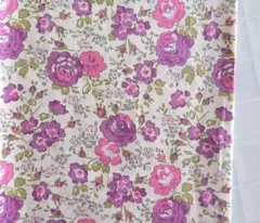 Item thumbnail for item e8793086-d8ef-4765-ba60-0b948cfd2035