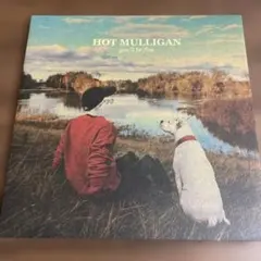 希少　HOT MULLIGAN/you'll be fine エモポップ