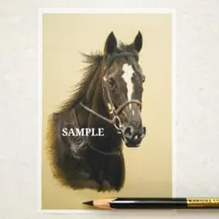 色鉛筆画 リバティアイランド 原画 手描き アナログ イラスト No.57 馬 Amazon.co.jp: 色鉛筆画 原画 リバティアイランド 手描き