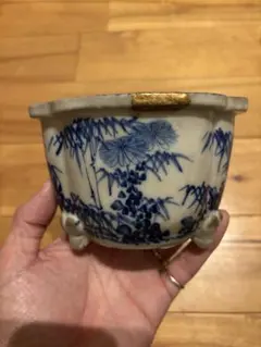 専用です。 樹高3.5㎝極太 箱根サンショウバラ 薔薇 豆 ミニ 盆 - メルカリ