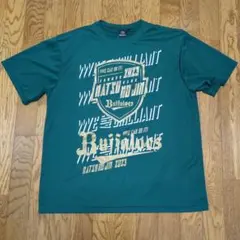 Item thumbnail for item c807b42d-b7fa-4b0e-904f-9ca6d7988117