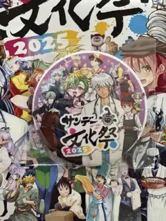 激レア サンデー文化祭 限定缶バッジ 未開封 紫 Mao