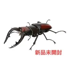 ノコギリクワガタ　本土褐色　いきもの大図鑑くわがた06　新品未開封