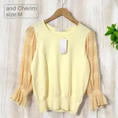 Item thumbnail for item 9c58f3e7-6f19-4570-a13e-36dc06555946