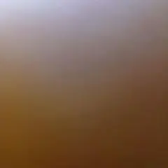 専用出品　PETTYDUST ウジュモンジ ぬいぐるみ