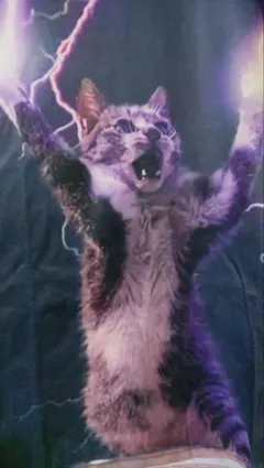 アニマルプリントTシャツ（３L）