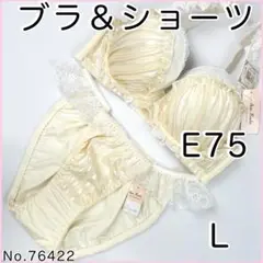 ブラジャーショーツセット e75