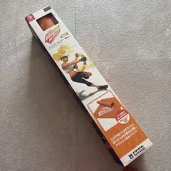リングフィット　アドベンチャー　専用マット
